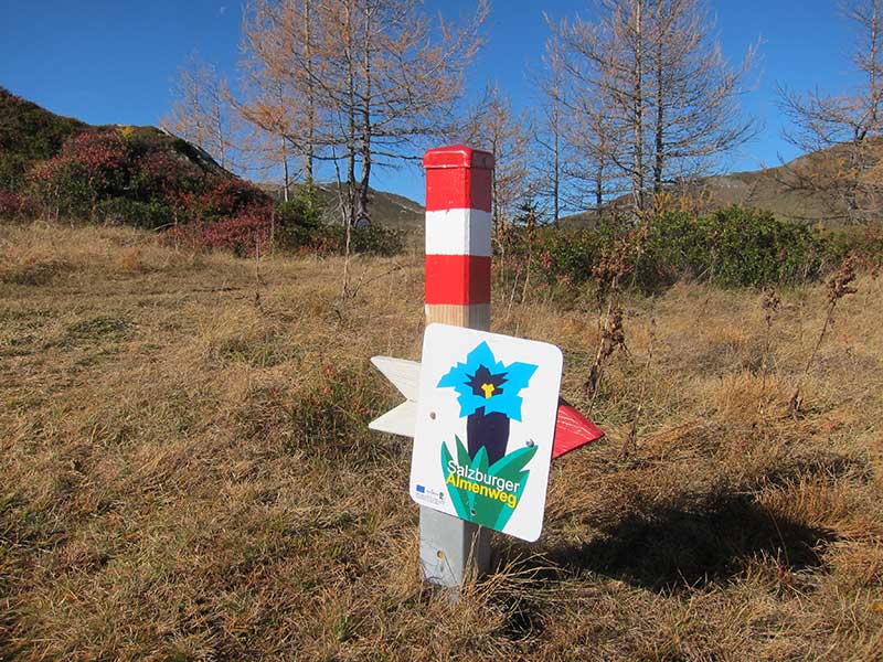 Schwarzwand
